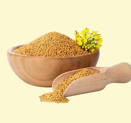Mustard Seeds